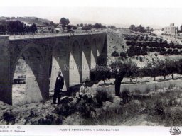 Mula Antigua serie-2